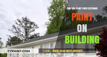 Revamping Your Home's Look: Can You Paint Over Exterior Paint?