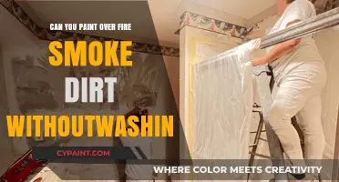 Reviving Walls: Painting Over Fire, Smoke, and Dirt Without Washing