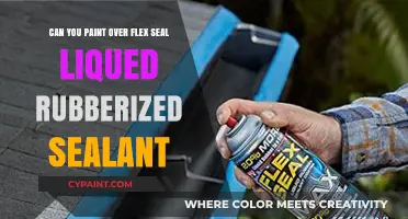 How to Paint Over Flex Seal: A Guide