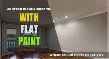 Painting Over Gloss: Tips for Using Flat Paint on Glossy Surfaces