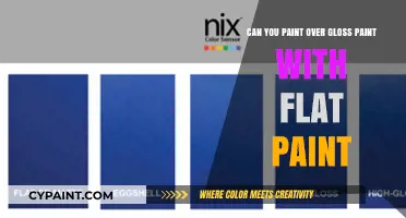 How to Paint Over Gloss: Flat Paint Application Guide