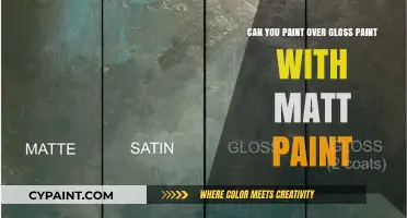 Gloss to Matt: Painting Over Gloss Paint