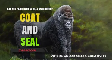 How to Paint Over Gorilla Waterproof Coat and Seal