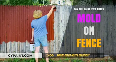 Reviving Your Fence: Tips for Painting Over Green Mold