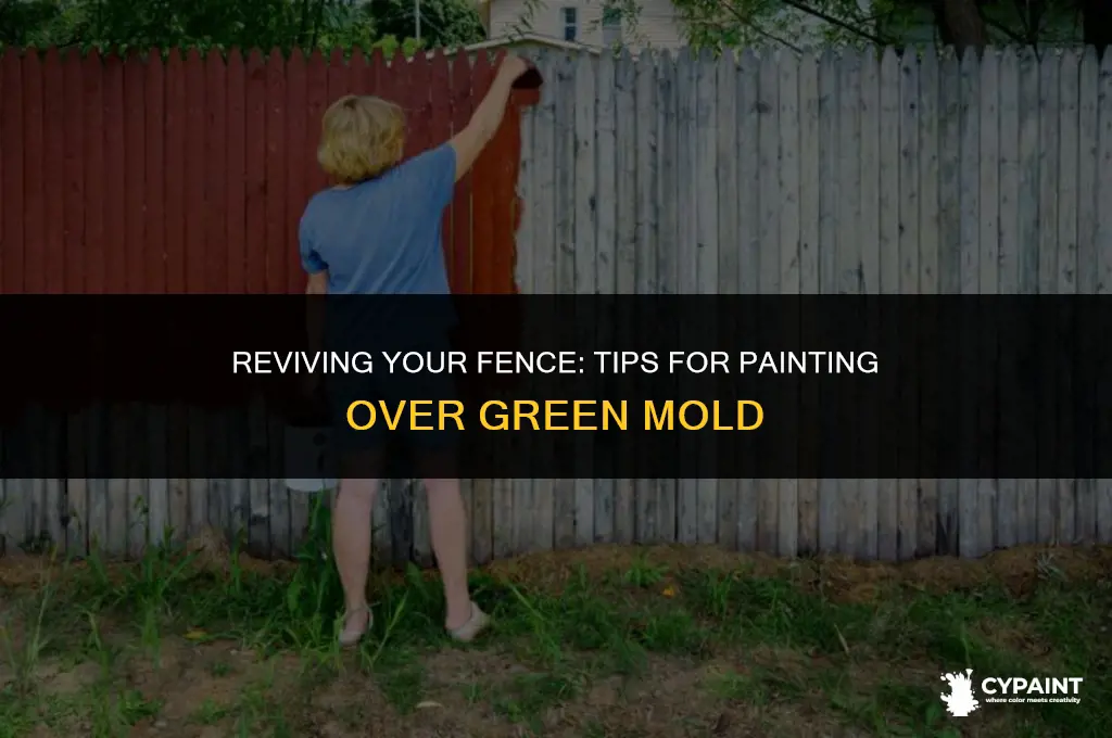 can you paint over green mold on fence