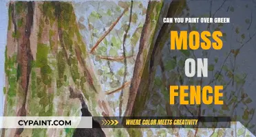 Reviving Your Fence: A Guide to Painting Over Green Moss