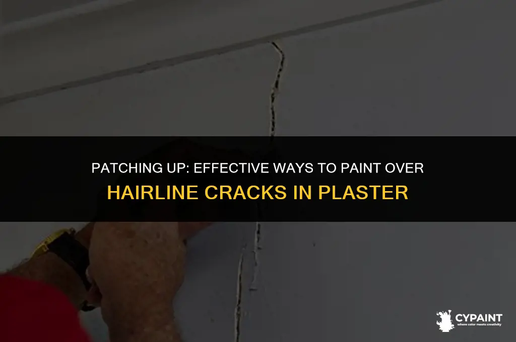 can you paint over hairline cracks in plaster