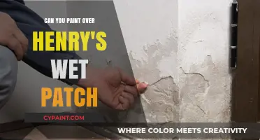 Reviving Henry's Space: Tips for Painting Over Wet Patches