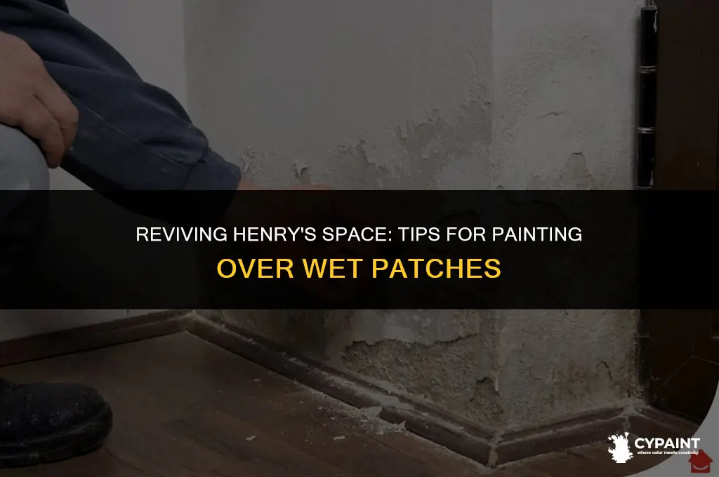 can you paint over henry