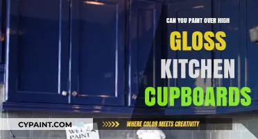 Revamping Your Kitchen: Painting Over High Gloss Cupboards