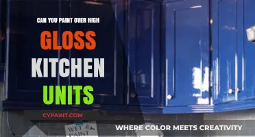 Revamping Your Kitchen: Painting Over High Gloss Units