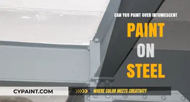 Revamping Steel Surfaces: Can You Paint Over Intumescent Coatings?
