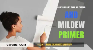 Primer Protection: Painting Over Kilz Mold and Mildew