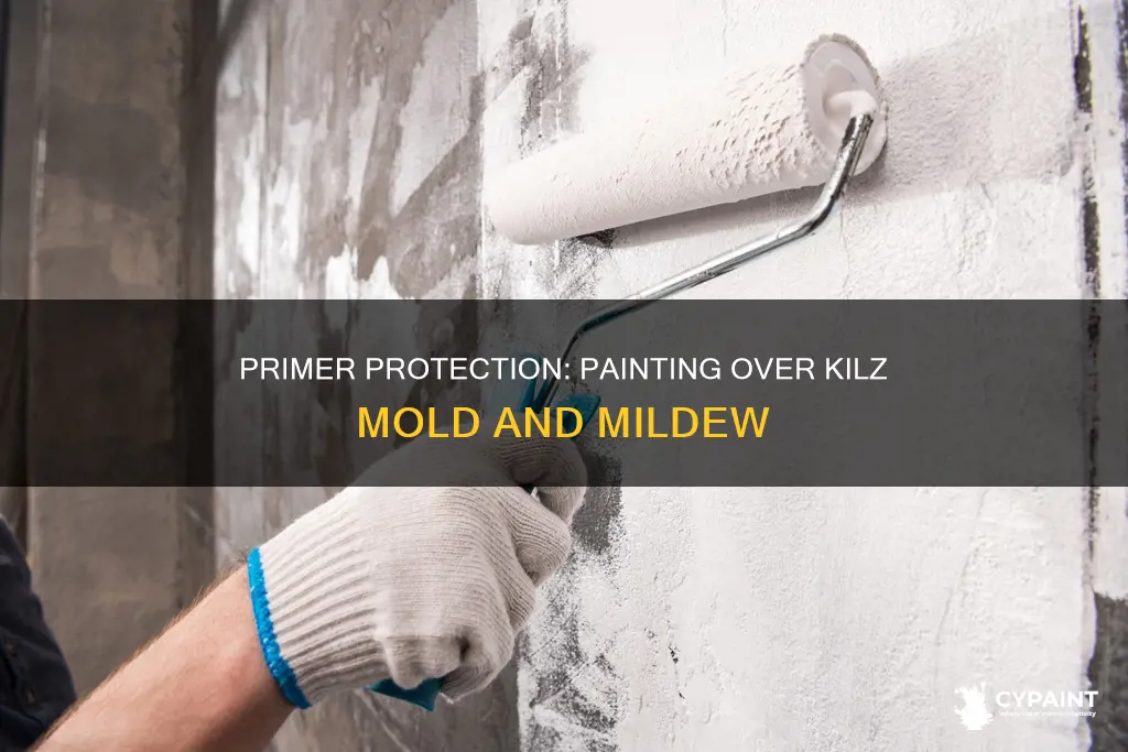 can you paint over kilz mold and mildew primer