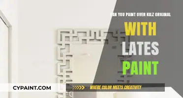 How to Paint Over Kilz Original Primer