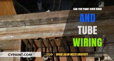 Revamping Old Wiring: Can You Safely Paint Over Knob and Tube?