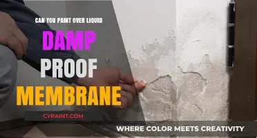 Revamping Your Basement: Painting Over Liquid Damp Proof Membrane