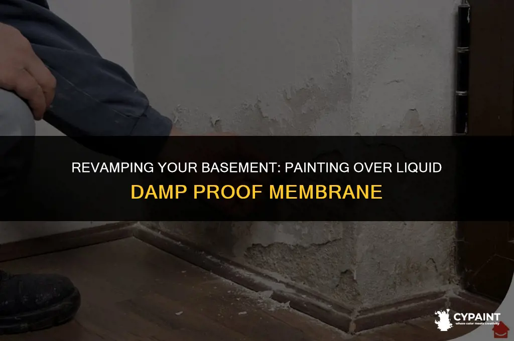 can you paint over liquid damp proof membrane