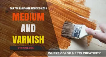 How to Paint Over Liquitex Gloss: A Guide