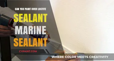 Revamping Your Marine Sealant: Painting Over Loctite Sealant