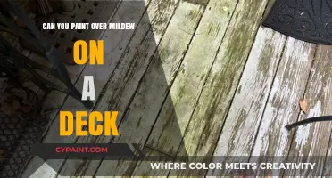 Reviving Your Deck: Painting Over Mildew - A Complete Guide