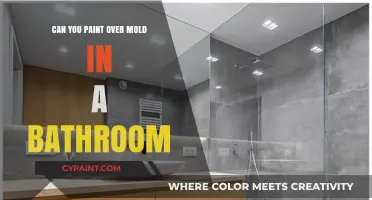 Fresh Coat Over Mold: A Bathroom Makeover Guide