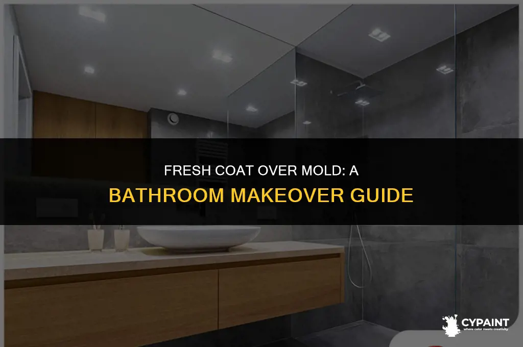 can you paint over mold in a bathroom