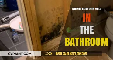 Fresh Coat Over Mold: A Guide to Safe Bathroom Renovations