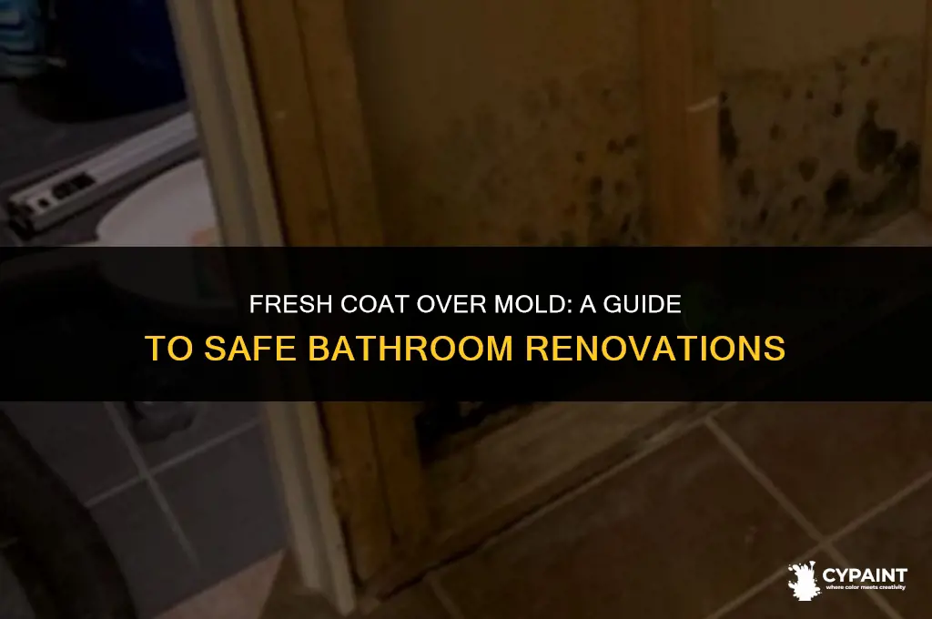 can you paint over mold in the bathroom