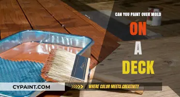 Reviving Your Deck: The Dos and Don'ts of Painting Over Mold