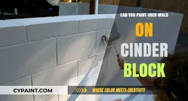 Reviving Cinder Blocks: Painting Over Mold for a Fresh Look
