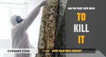 Debunking Myths: Painting Over Mold - A Temporary Fix or a Health Hazard?