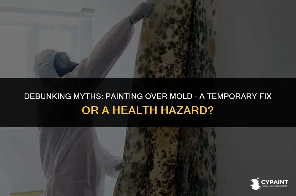 can you paint over mold to kill it