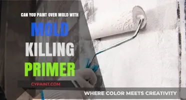 Killing Mold with Paint: Does It Work?