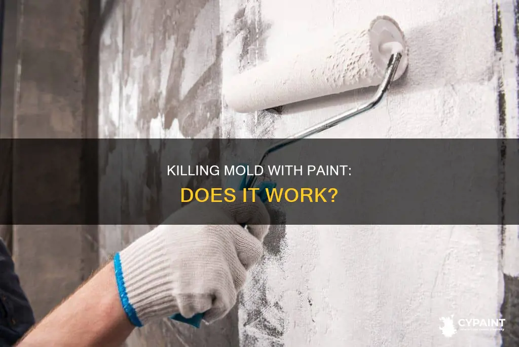 can you paint over mold with mold killing primer