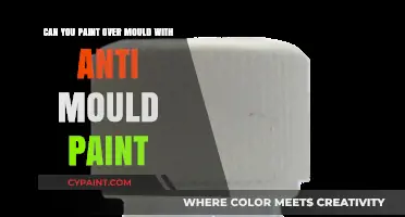 How to Deal with Mould: Paint or Treat First?