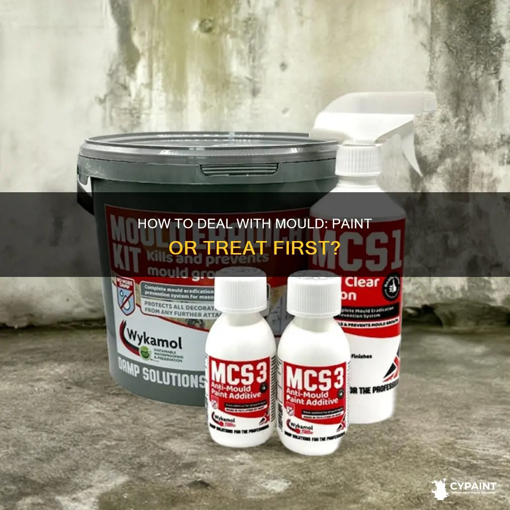 can you paint over mould with anti mould paint