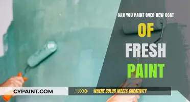 How to Paint Over Fresh Paint
