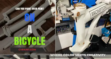 Revamping Your Ride: The Art of Painting Over Bicycle Paint