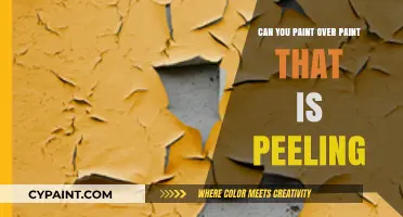 Reviving Your Walls: Can You Paint Over Peeling Paint?