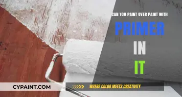 Primer-Paint: Can You Paint Over It?