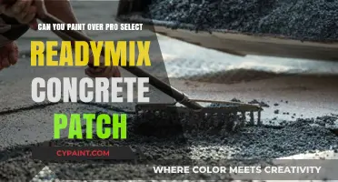 How to Paint Over Pro Select Readymix Concrete Patch?