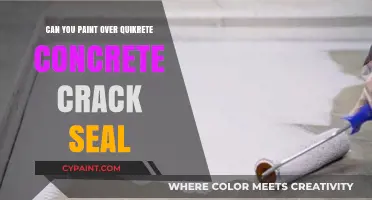 Reviving Your Driveway: Painting Over Quikrete Concrete Crack Seal