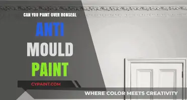 Revamping Walls: Can You Paint Over Ronseal Anti Mould Paint?
