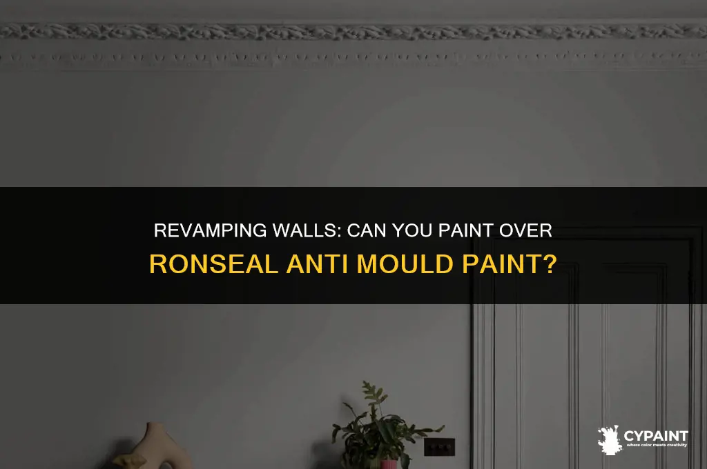 can you paint over ronseal anti mould paint