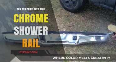 Reviving Your Shower: Painting Over Rusted Chrome Rails