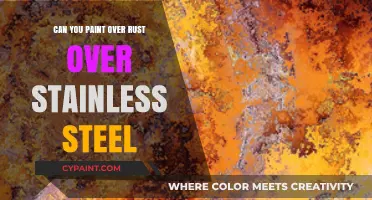 Reviving Stainless Steel: Can You Really Paint Over Rust?
