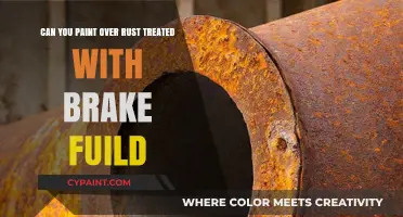 Painting Over Rust: Brake Fluid Treatment