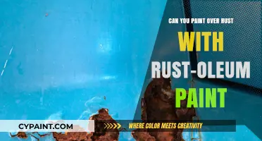 Rust-Oleum Paint: A Solution for Rust?