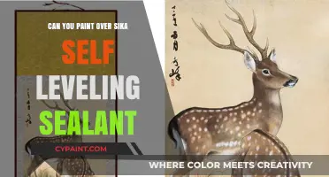 Revamping Your Surfaces: Painting Over Sika Self-Leveling Sealant